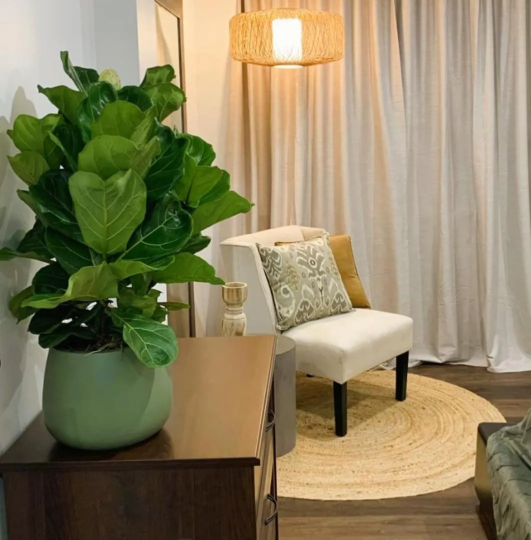 The Pool House Carrara Apartment Gold Coast